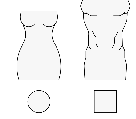 A picture showing the shapes of the male and female human body.