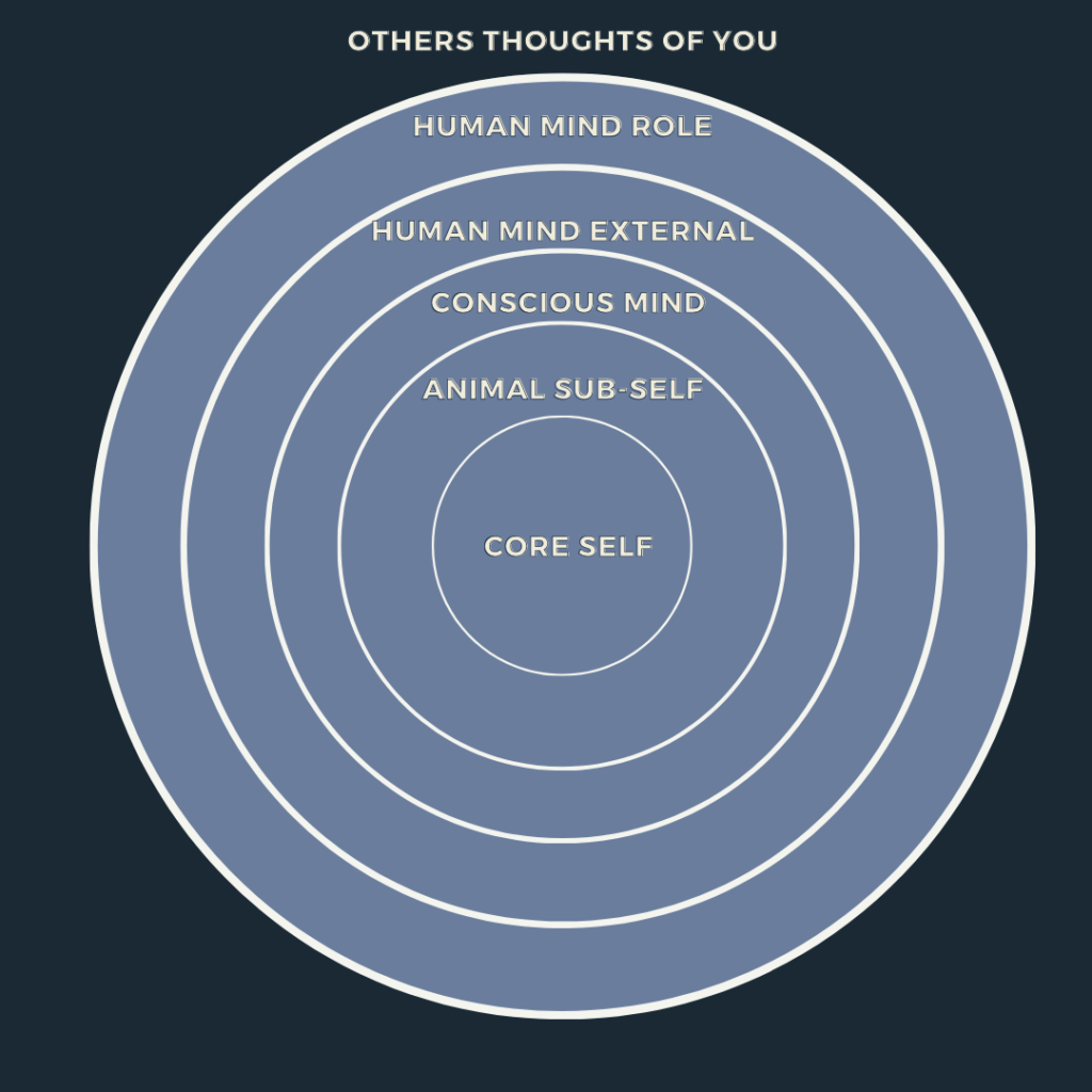 The layers of the mind is a graph representing: the core self, the animal sub-self, the conscious mind, the external human mind, the human mind role, and the others thoughts of you in the form of a circle.