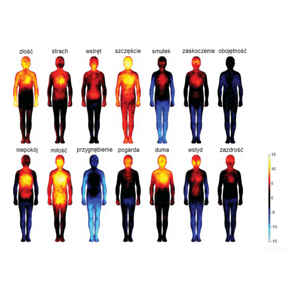 Obrazek przedstawiający sylwetki ludzi z zaznaczonymi na czerwono lub niebiesko częściami ciała w zależności od rodzaju emocji.