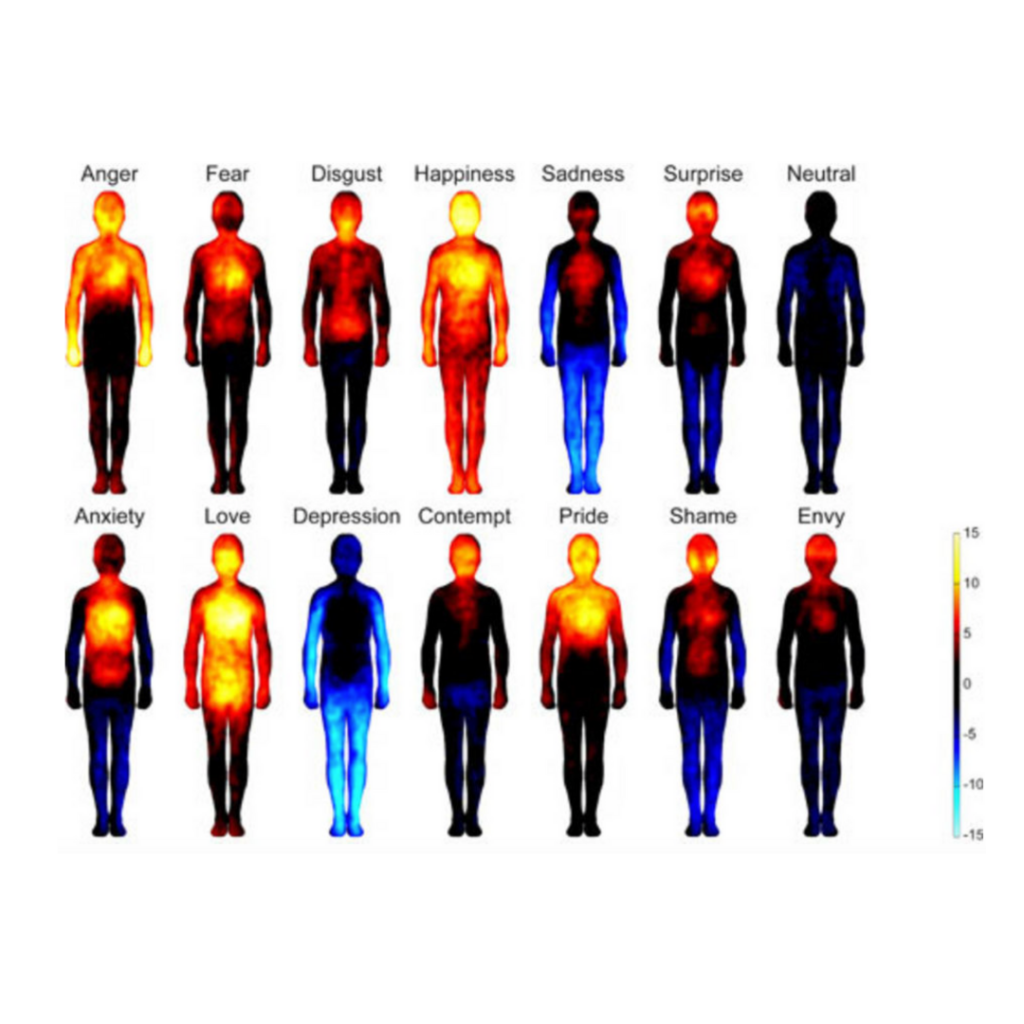 A picture of people with body parts marked in red or blue depending on the type of emotion.