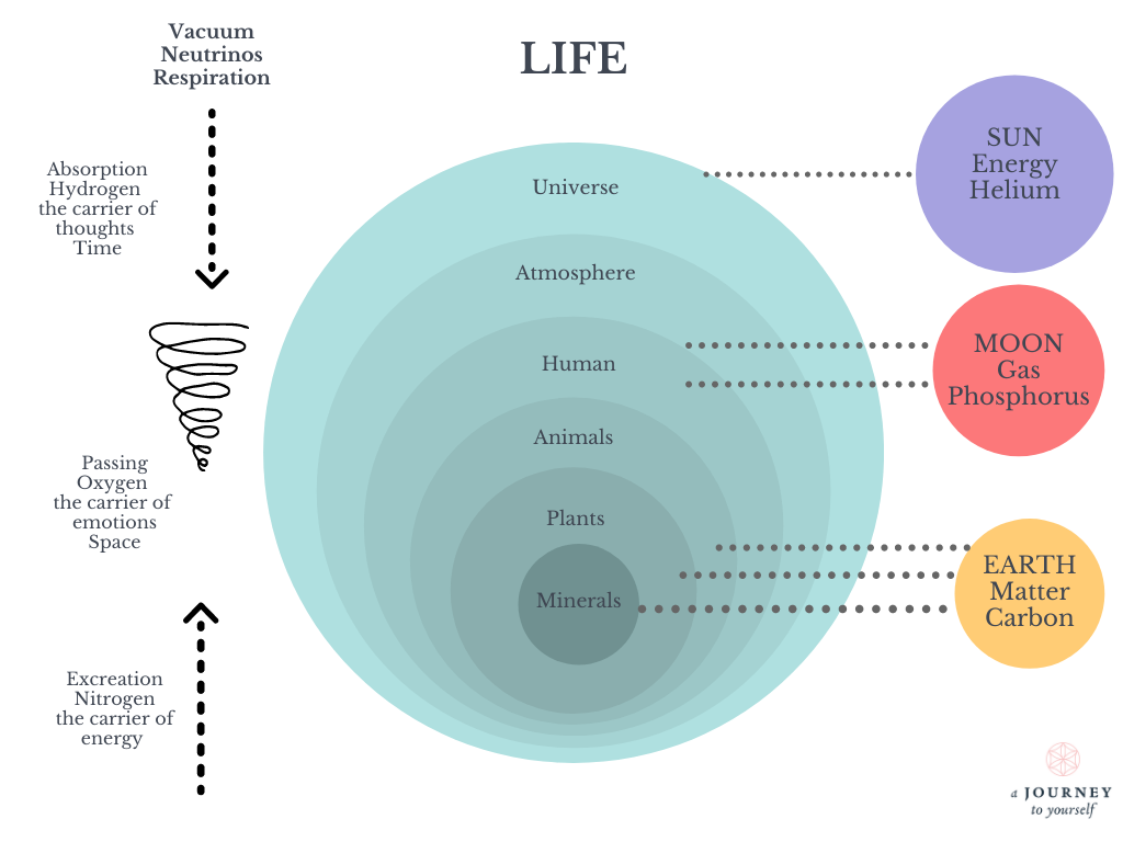 A diagram of the life it shows the sun, moon, earth, universe, atmosphere, human, animals, plants, minerals, hydrogen oxygen nitrogen.