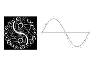 Rodin and Fibonacci chart