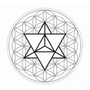 The tetrahedron on the Flower of Life.